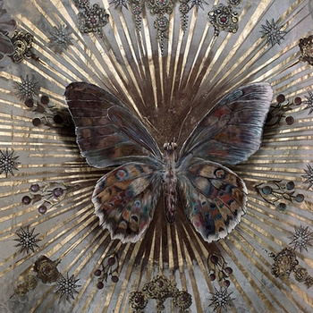 WDWO1902 - fototapeta Wonder  Contemporary 2019 Wall & Deco