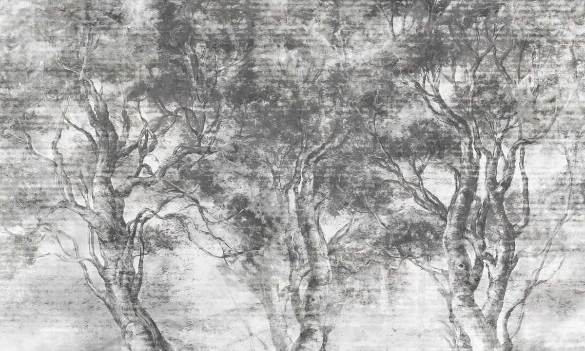 mural RAUV tapeta w drzewa szara do wnętrz nowoczesnych i loftowych na wymiar