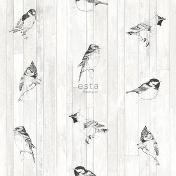143-128834 - tapeta Birds On Wooden Planks Green House Esta Home