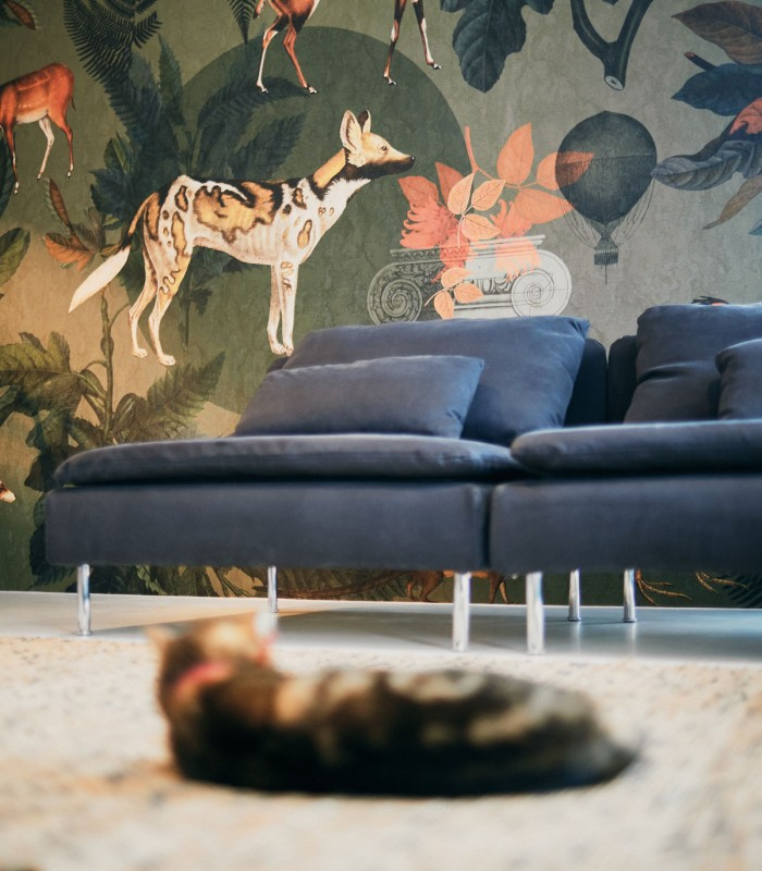 Tapeta Khaki w nowoczesnej przestrzeni z antresolą