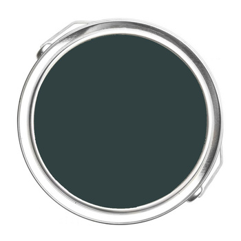 2050-10 Salamander Benjamin Moore