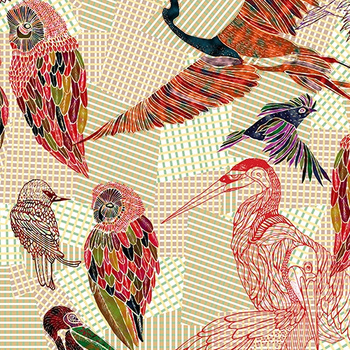 WDPB1601 – fototapeta Pencil Birds Contemporary 2016 Wall & Deco