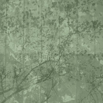 016_002 – fototapeta Taplab