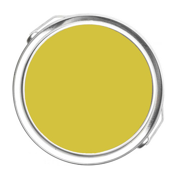 364 - Citrus Burst Benjamin Moore