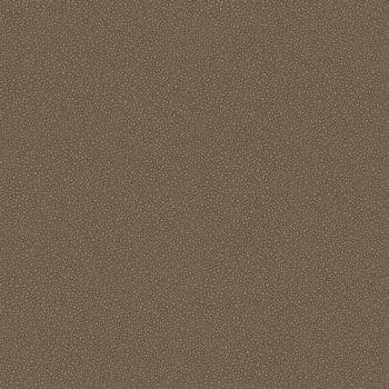 107/9044 – tapeta Goldstone Curio Cole & Son