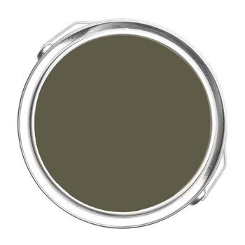 2141-20 Cabbage Patch Benjamin Moore