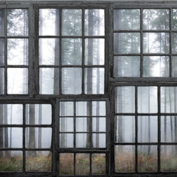 R15341 – fototapeta Cabin Rebel Walls