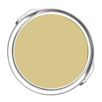 382 - Artichoke Hearts Benjamin Moore