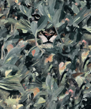 9500013 - tapeta Hidden Puma Night Naturae Coordonne