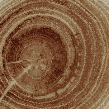 WDEE2102 - Fototapeta Tree Of Life Wall&Deco