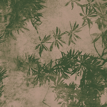 WDVI1801 – fototapeta Viride Contemporary 2018 Wall & Deco