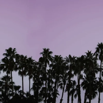 R16052 Riviera Daydream, Dusk - Fototapeta RebelWalls