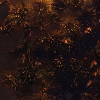 WDAC2202 – fototapeta Alcamo Wall&Deco