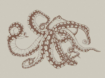 9500801 - panel Octopus X-Ray Papirus Naturae Coordonne