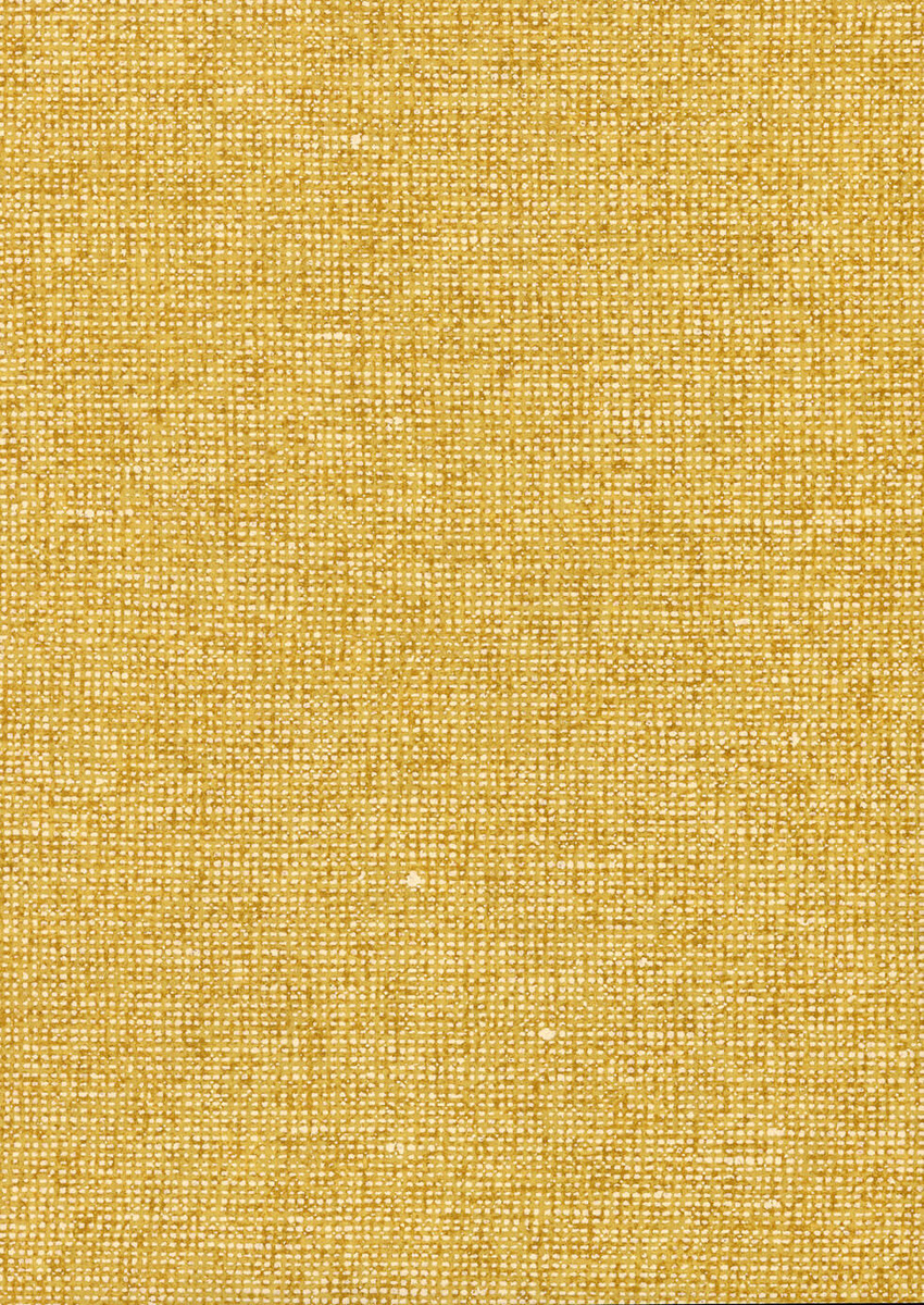 91505B- tapeta Chanderi Arte – Arte – zdjęcie produktu