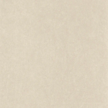 84071202 - tapeta Oxford Lewis So White 4 Casadeco