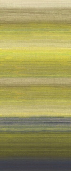 DGRIC206- tapeta Chanderi Serica Khroma