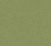 zielony