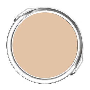 1137 - Sycamore Benjamin Moore