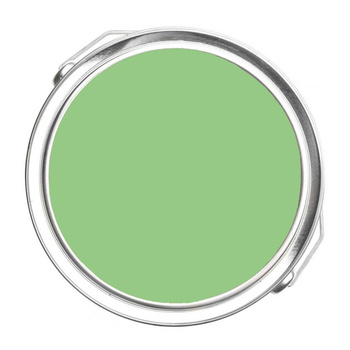 551 - Exotic Bloom Benjamin Moore