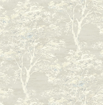 SE31305 - tapeta Suede 2 Tree Suede Wallquest