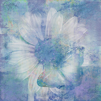 034_001 – fototapeta Taplab