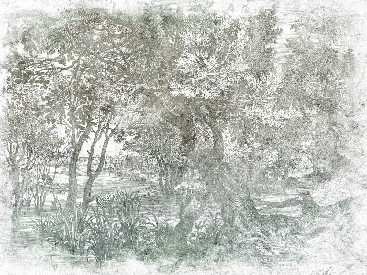 FOTOTAPETA ELAV 605 32 2201 WALLCRAFT – leśny pejzaż w odcieniach zieleni i szarości