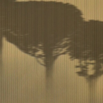 WDBL2001 – fototapeta Blurry Contemporary 2020 Wall & Deco