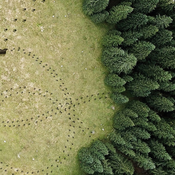 WET_GO2002 - Fototapeta Wal&Deco WET