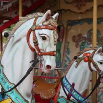 R11881 – fototapeta Carousel Rebel Walls