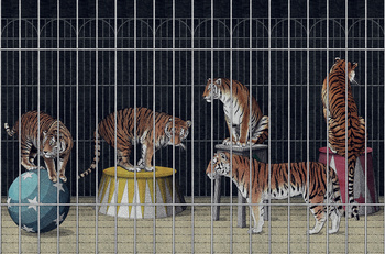 Tapeta London Art 19004 tigers giuseppe restano