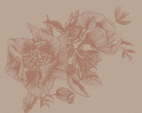 Non-woven