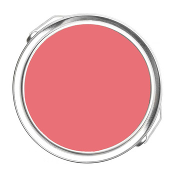 1320 - Florida Pink Benjamin Moore