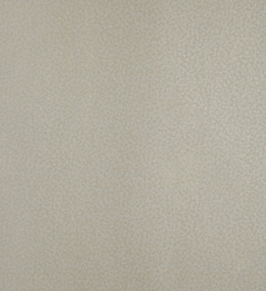 65588- tapeta Punto Tesoro Hohenberger