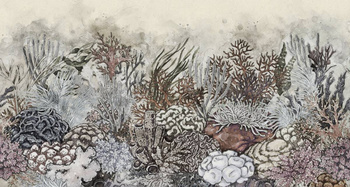 341_004 – fototapeta Coralli Taplab