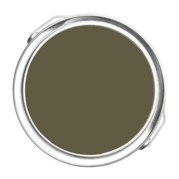 2142-10 Mediterranean Olive Benjamin Moore