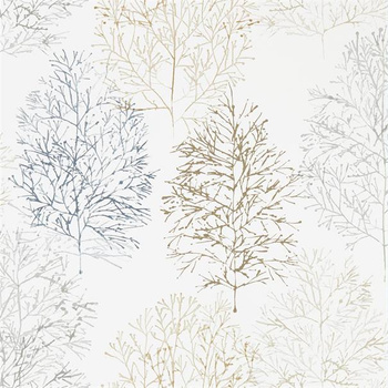 112003 – tapeta Soetsu Zanzibar Scion