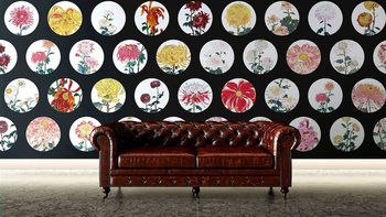 505_005 – fototapeta Taplab