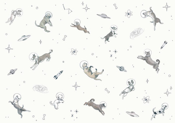 9700081 - panel Doggy Gravity Light Mies Coordonne