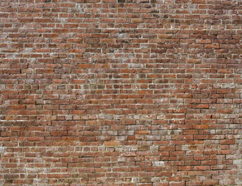 6800619 - panel Bricks Brick Random Papers II Coordonne