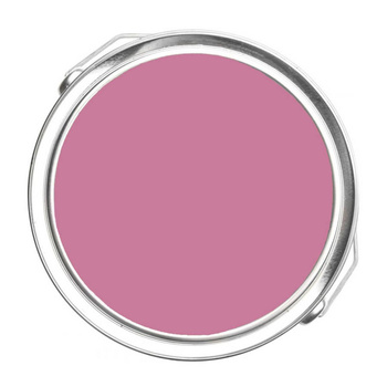 1355 - Tropical Rose Benjamin Moore