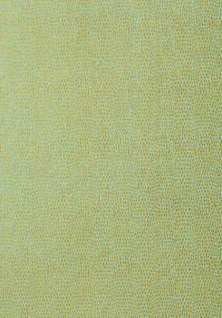 T57156 – tapeta Chameleon Texture Resource Volume 5 Thibaut