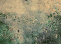 Non-woven