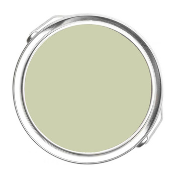 500 - Maidenhair Fern Benjamin Moore