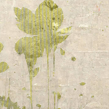 524_002 – fototapeta Timu Taplab