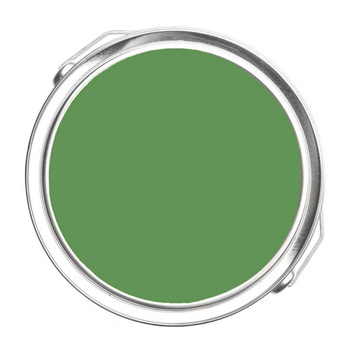 553 - Richmond Green Benjamin Moore