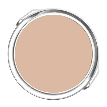 1219 - Clementine Rose Benjamin Moore