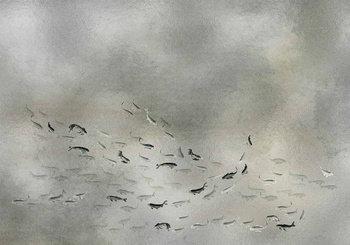 9600061 - panel Koi Silver Random Metallics Coordonne