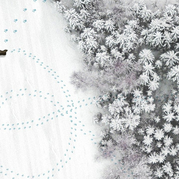 WET_GO2001 GO BOY GO - Fototapeta Wal&Deco WET