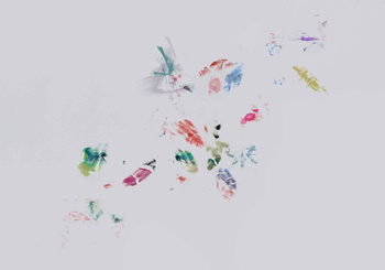 8000033 - panel Make-down UNA 40th Aniversary Coordonne